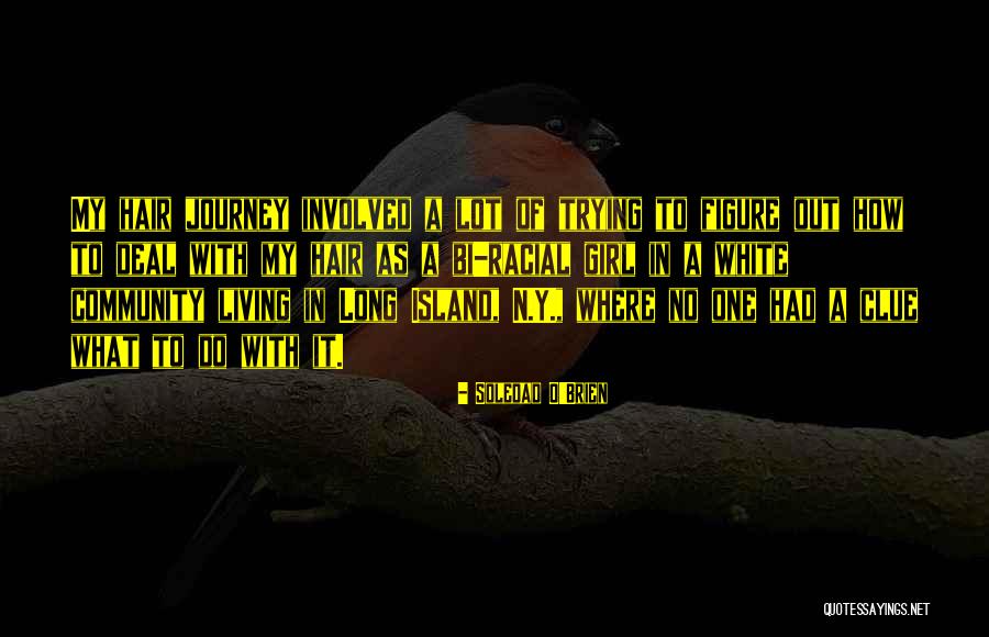 Nogueiras Auto Quotes By Soledad O'Brien Nogueiras Auto Quotes By Soledad O'Brien