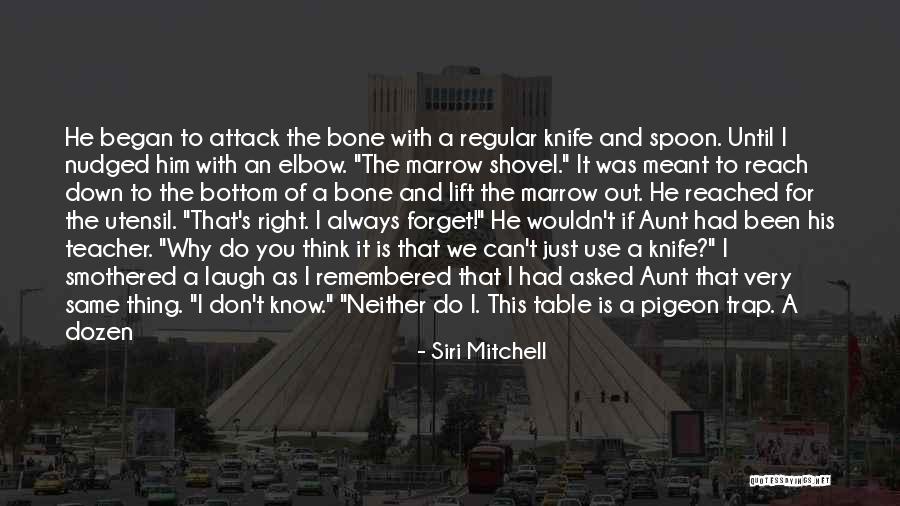 Nohoum Quotes By Siri Mitchell Nohoum Quotes By Siri Mitchell