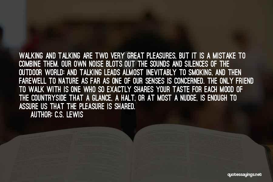 Noise And Silence Quotes By C.S. Lewis