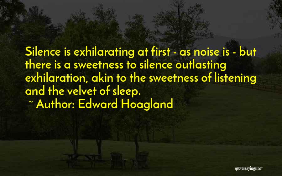 Noise And Silence Quotes By Edward Hoagland
