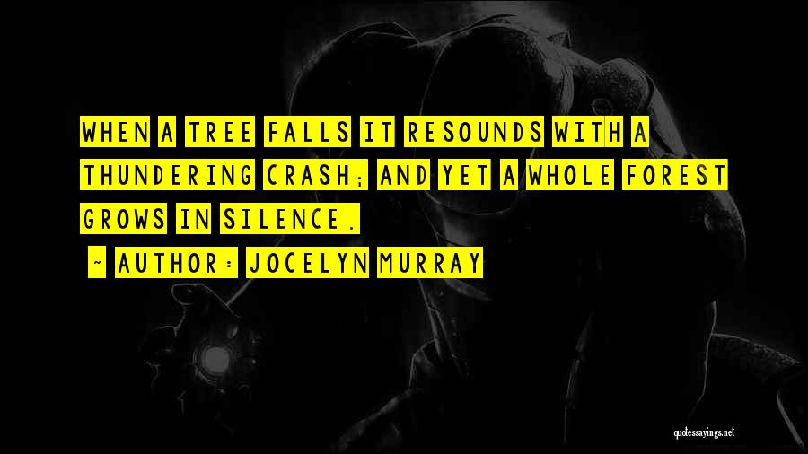 Noise And Silence Quotes By Jocelyn Murray