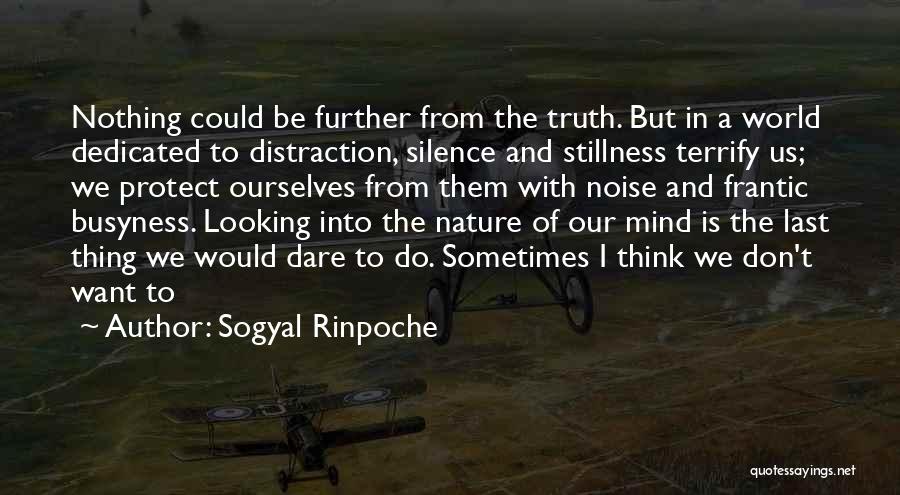 Noise And Silence Quotes By Sogyal Rinpoche