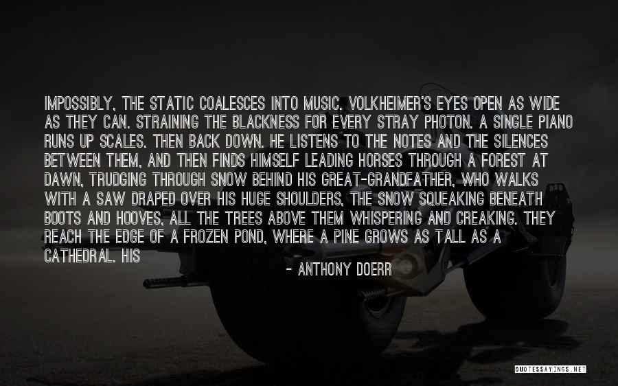 Noise Not Music Logo Quotes By Anthony Doerr Noise Not Music Logo Quotes By Anthony Doerr
