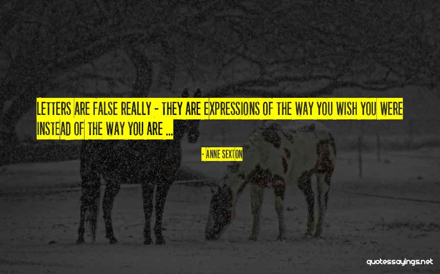 Noiseux Quotes By Anne Sexton Noiseux Quotes By Anne Sexton