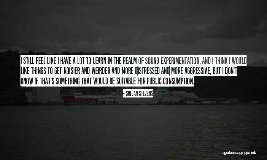 Noisier Than Quotes By Sufjan Stevens Noisier Than Quotes By Sufjan Stevens
