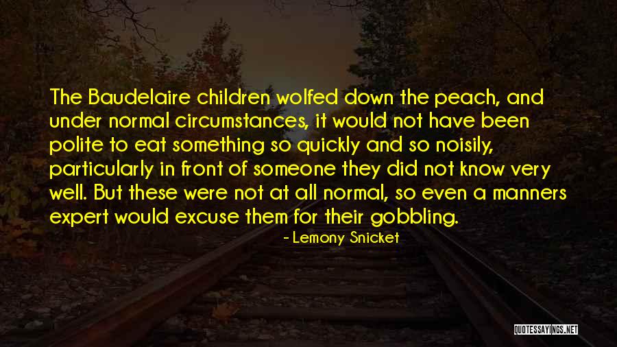 Noisily Quotes By Lemony Snicket Noisily Quotes By Lemony Snicket
