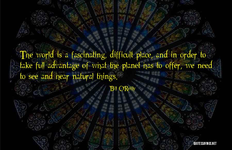 Nojazzfest Quotes By Bill O'Reilly Nojazzfest Quotes By Bill O'Reilly