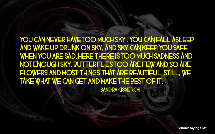 Nok Jhok Quotes By Sandra Cisneros Nok Jhok Quotes By Sandra Cisneros