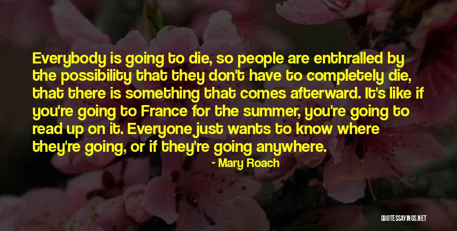 Nokkukooli Quotes By Mary Roach Nokkukooli Quotes By Mary Roach