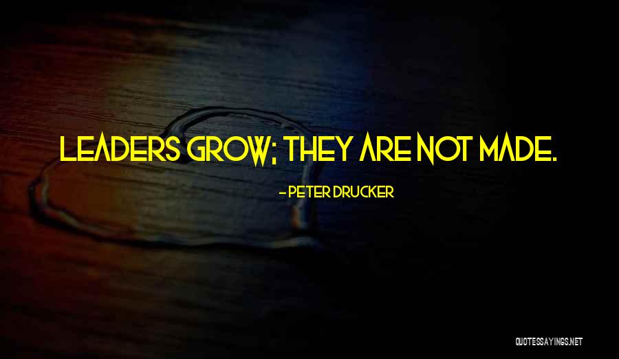 Noktadan Quotes By Peter Drucker Noktadan Quotes By Peter Drucker
