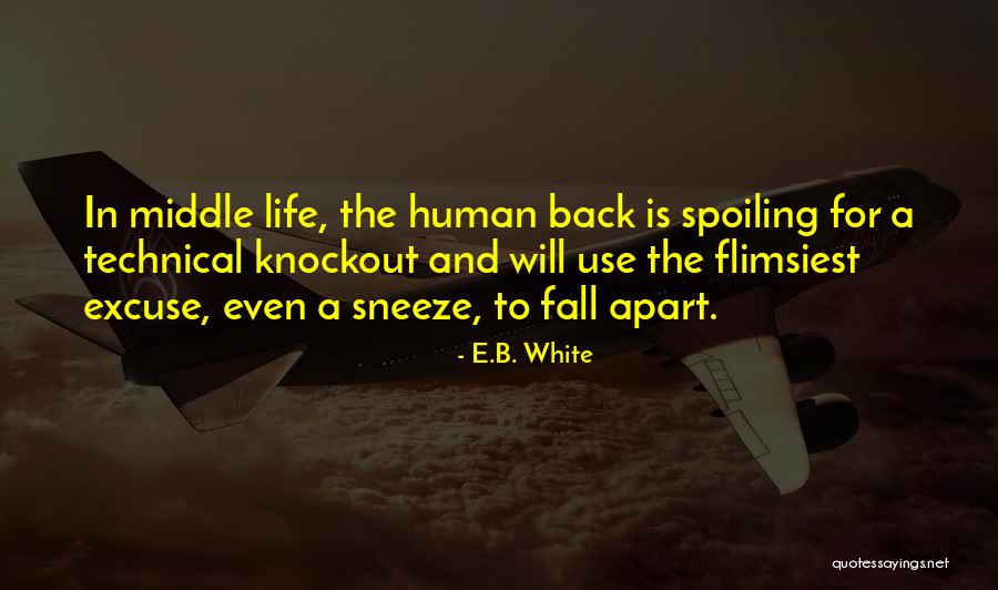 Noktalarla Kalp Quotes By E.B. White Noktalarla Kalp Quotes By E.B. White