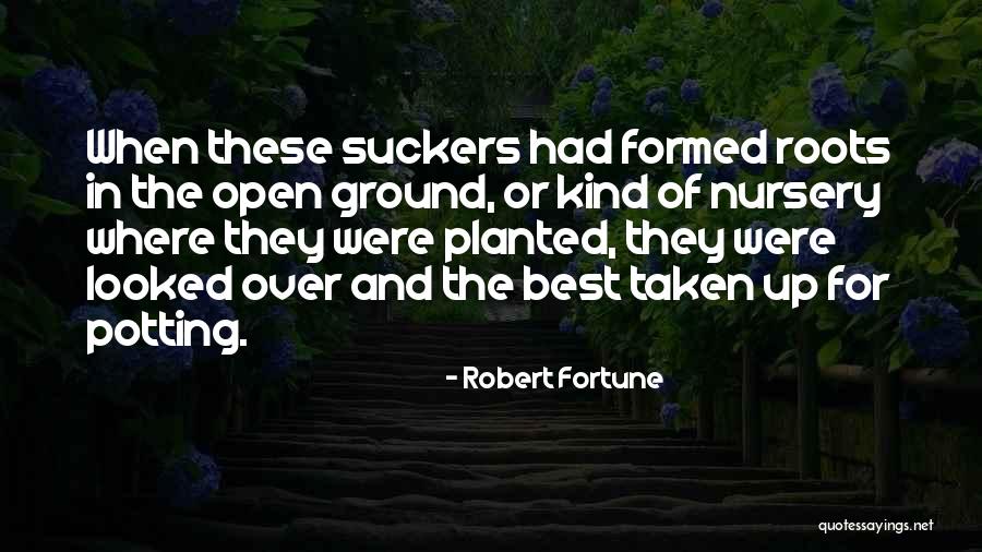 Nol Quotes By Robert Fortune Nol Quotes By Robert Fortune