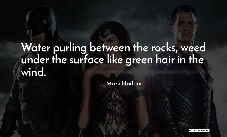 Nomadic Modular Structures Quotes By Mark Haddon