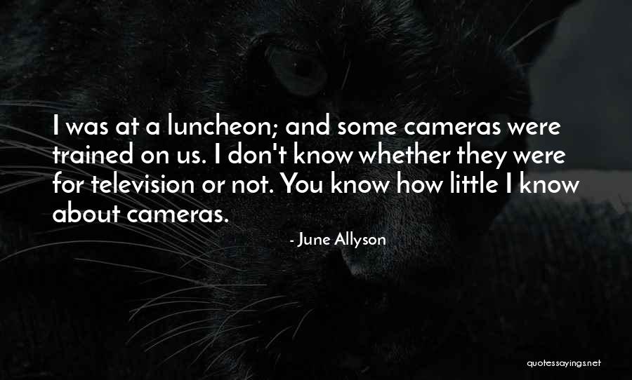 Non Binary Pronouns Quotes By June Allyson Non Binary Pronouns Quotes By June Allyson