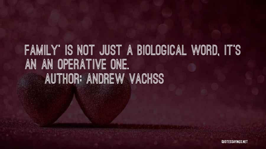 Non Biological Families Quotes By Andrew Vachss