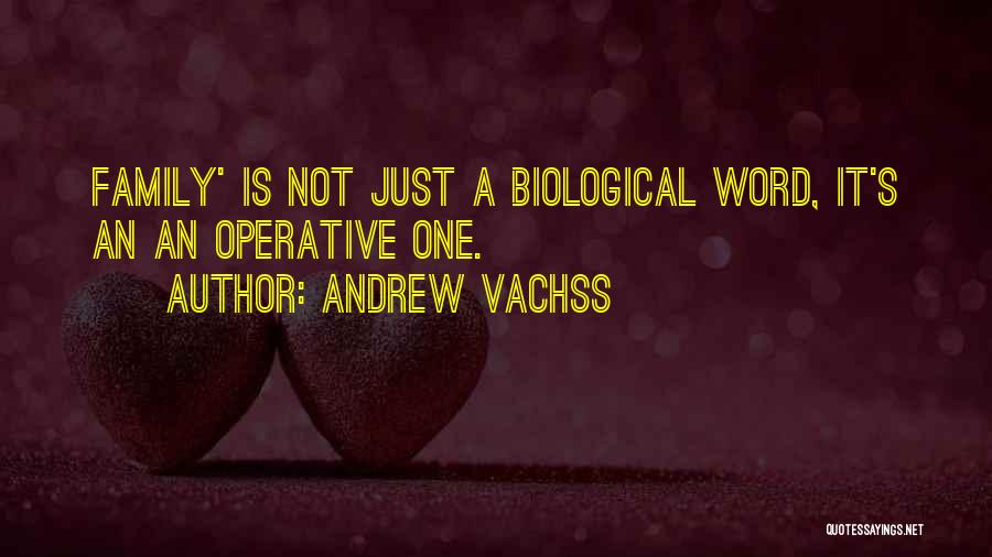 Non Biological Family Quotes By Andrew Vachss