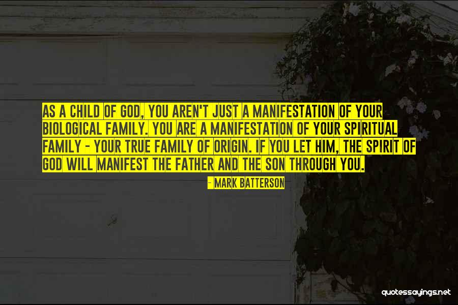 Non Biological Family Quotes By Mark Batterson