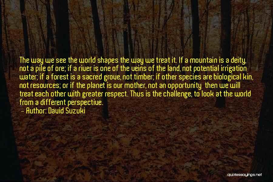 Non Biological Mother Quotes By David Suzuki
