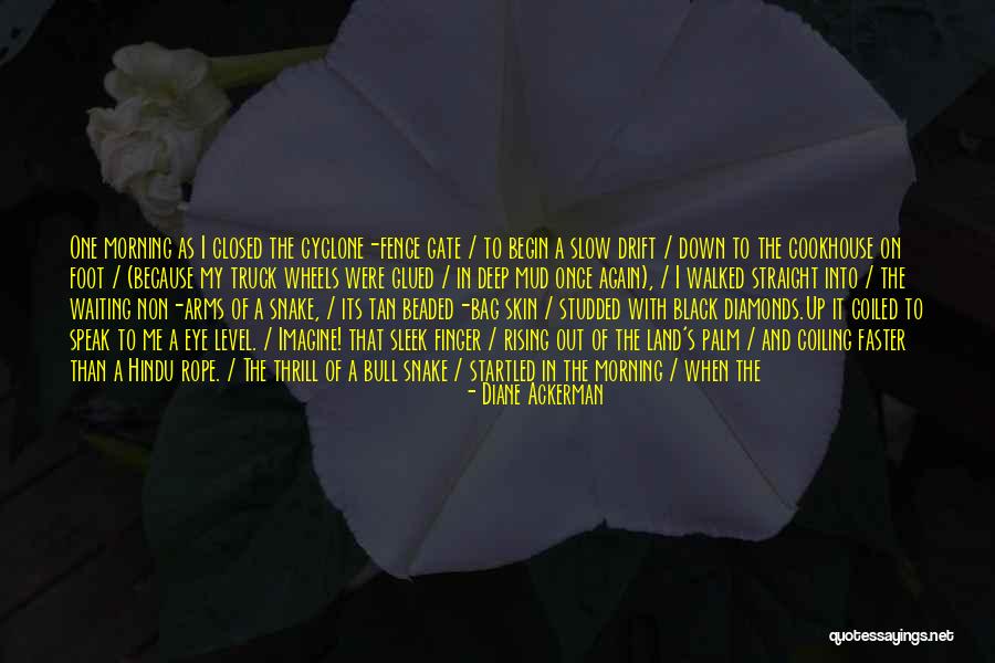Non Black Quotes By Diane Ackerman Non Black Quotes By Diane Ackerman
