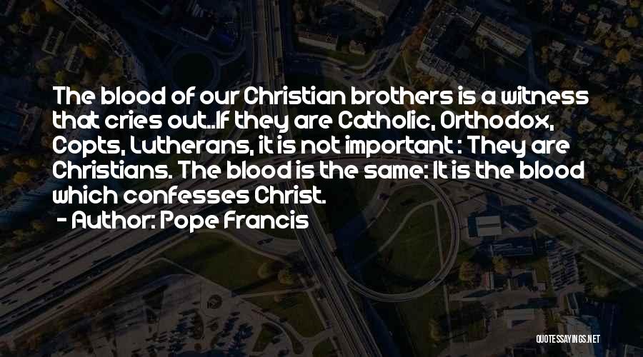 Non Blood Brothers Quotes By Pope Francis