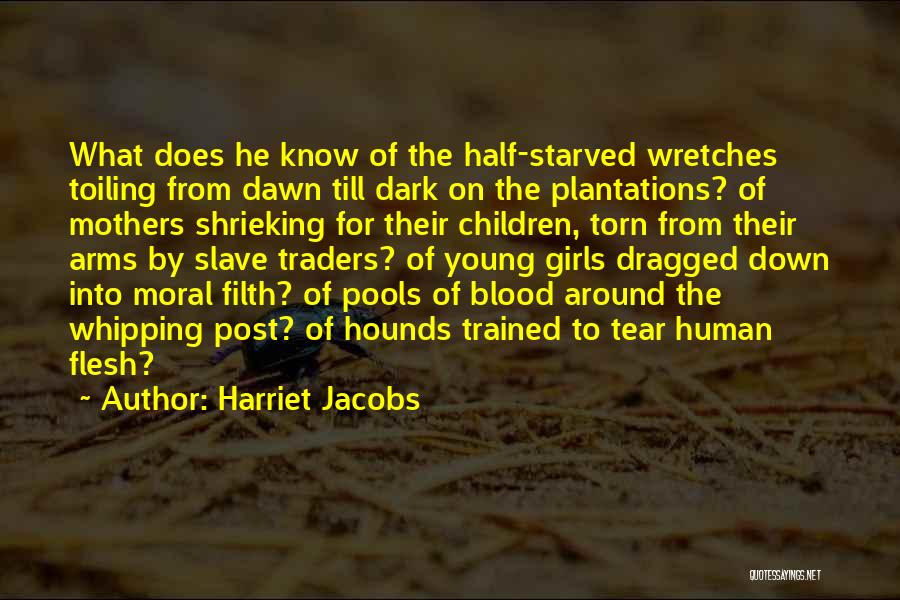 Non Blood Mothers Quotes By Harriet Jacobs