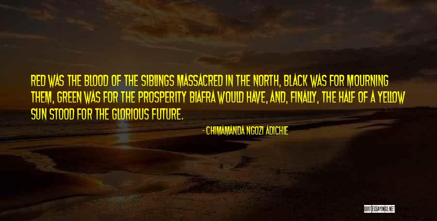 Non Blood Siblings Quotes By Chimamanda Ngozi Adichie