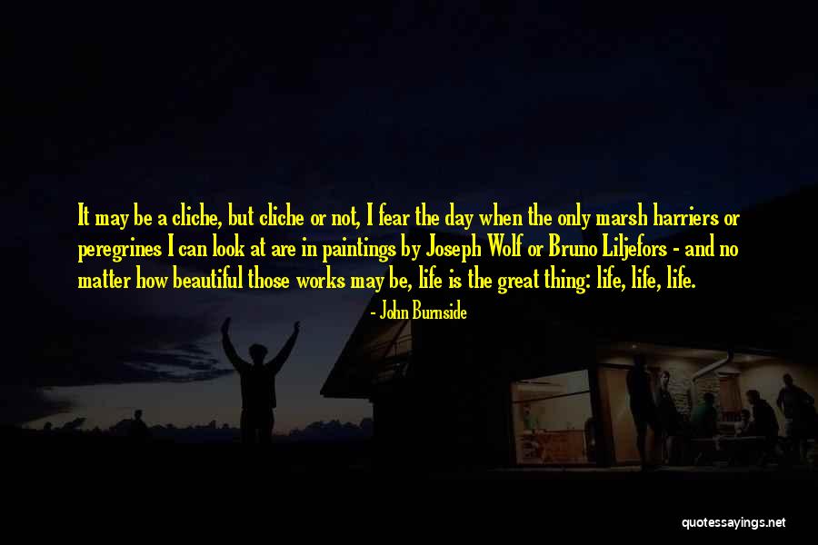 Non Cliche Life Quotes By John Burnside Non Cliche Life Quotes By John Burnside