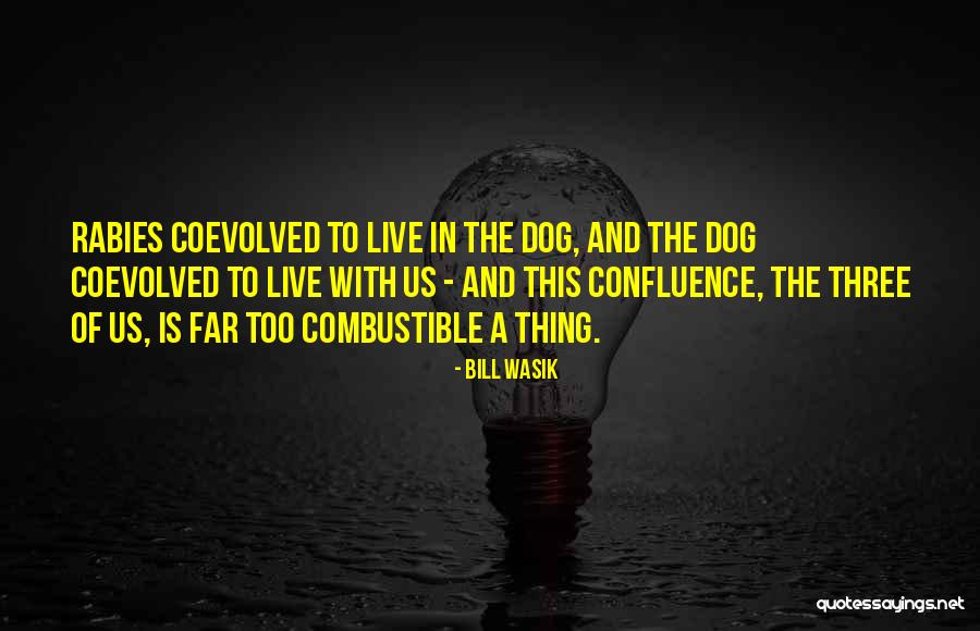 Non Combustible Quotes By Bill Wasik Non Combustible Quotes By Bill Wasik