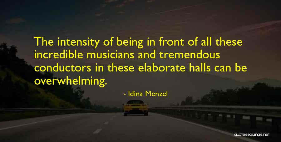 Non Conductors Quotes By Idina Menzel Non Conductors Quotes By Idina Menzel
