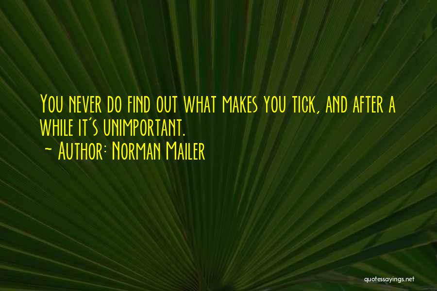 Non Conformity Quotes By Norman Mailer