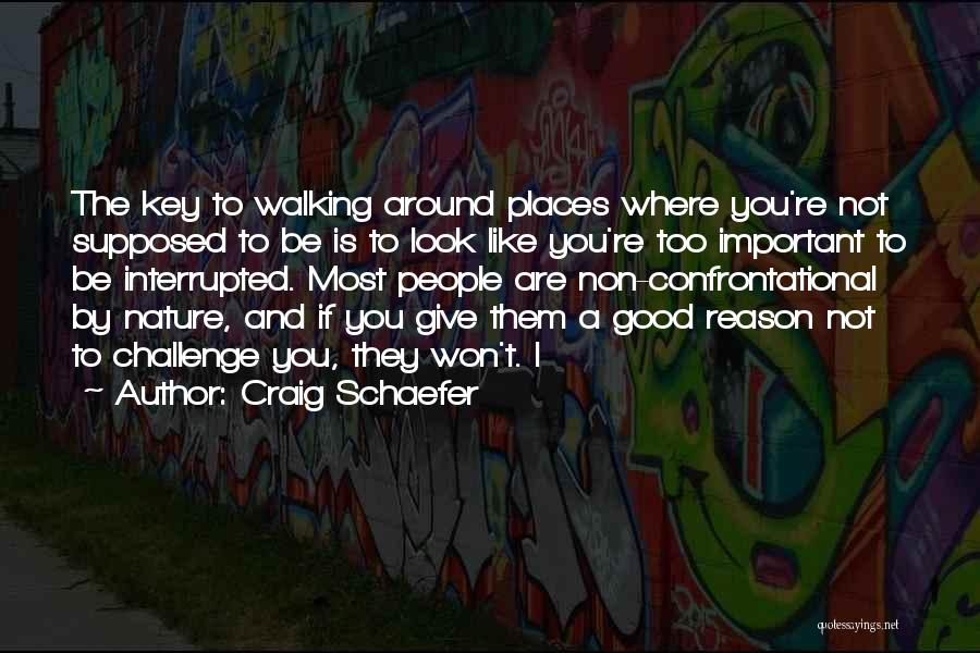 Non Confrontational Quotes By Craig Schaefer