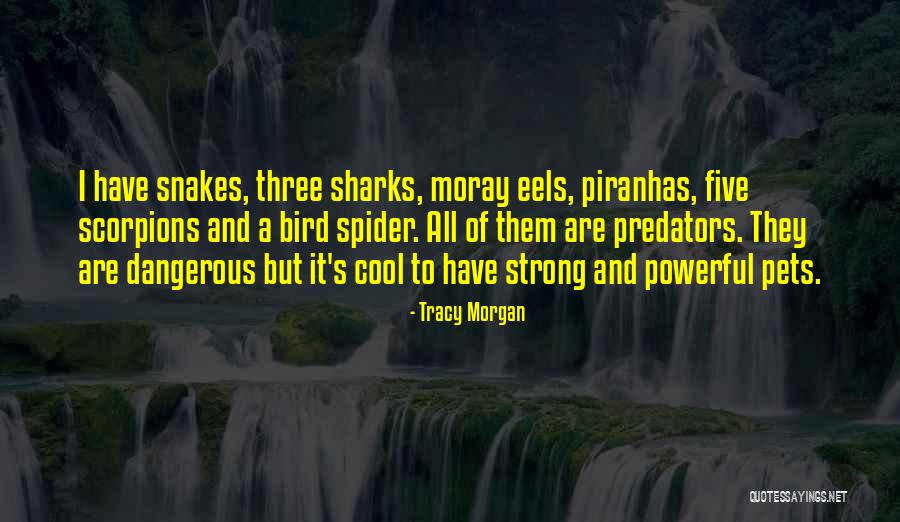 Non Dangerous Snakes Quotes By Tracy Morgan Non Dangerous Snakes Quotes By Tracy Morgan