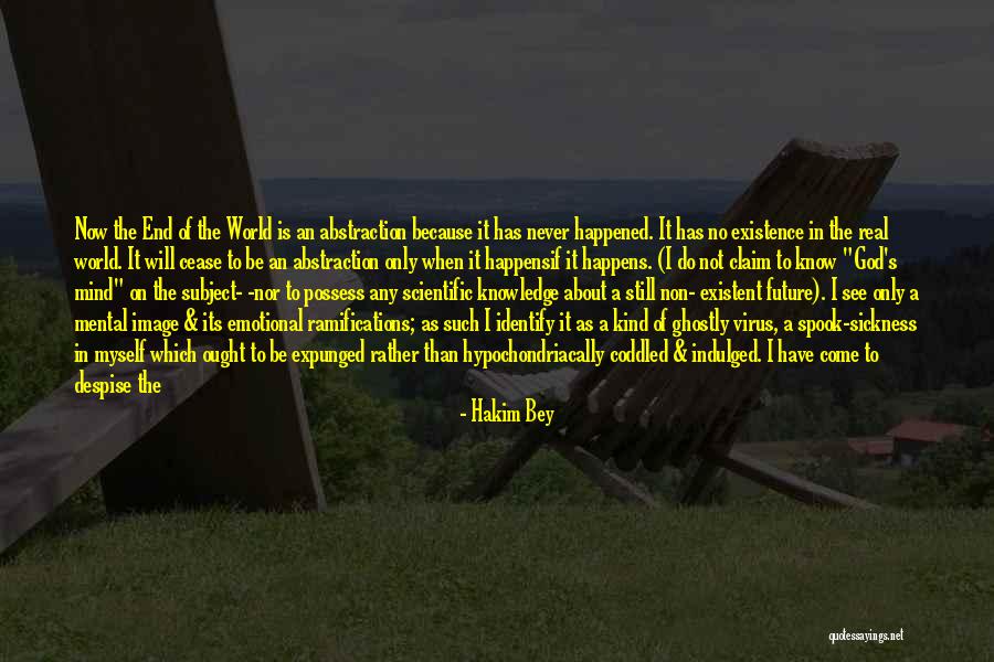Non Doing Quotes By Hakim Bey Non Doing Quotes By Hakim Bey