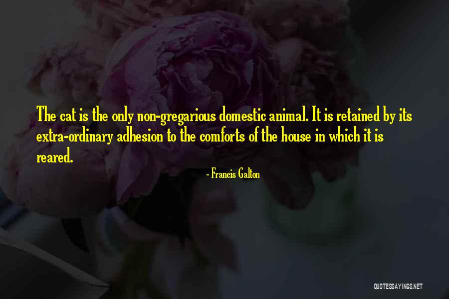 Non Domestic Quotes By Francis Galton Non Domestic Quotes By Francis Galton