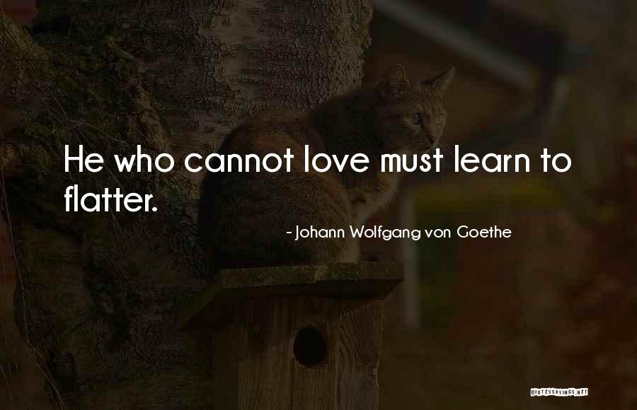 Non Famous Love Quotes By Johann Wolfgang Von Goethe