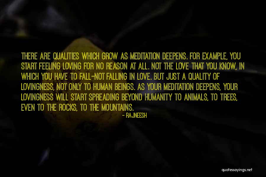 Non Formal Learning Examples Quotes By Rajneesh Non Formal Learning Examples Quotes By Rajneesh