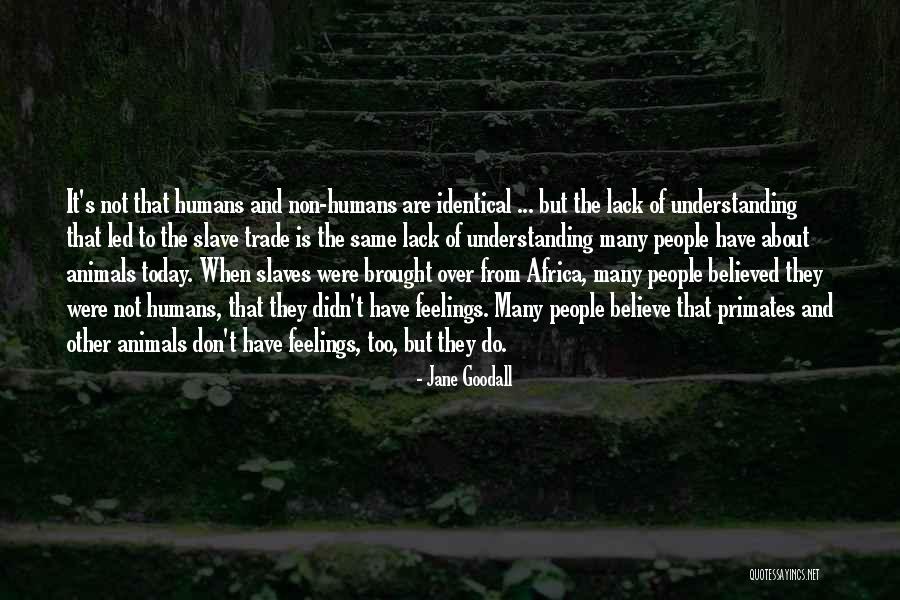 Non Humans Quotes By Jane Goodall Non Humans Quotes By Jane Goodall