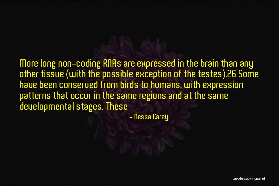 Non Humans Quotes By Nessa Carey Non Humans Quotes By Nessa Carey