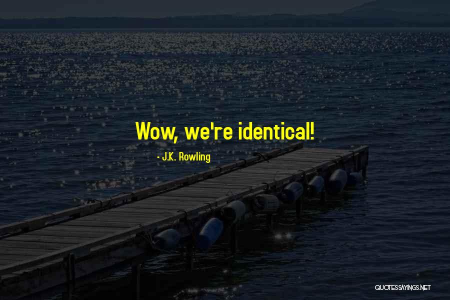 Non Identical Twins Quotes By J.K. Rowling Non Identical Twins Quotes By J.K. Rowling