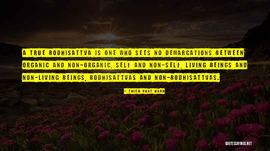 Non Living Quotes By Thich Nhat Hanh Non Living Quotes By Thich Nhat Hanh