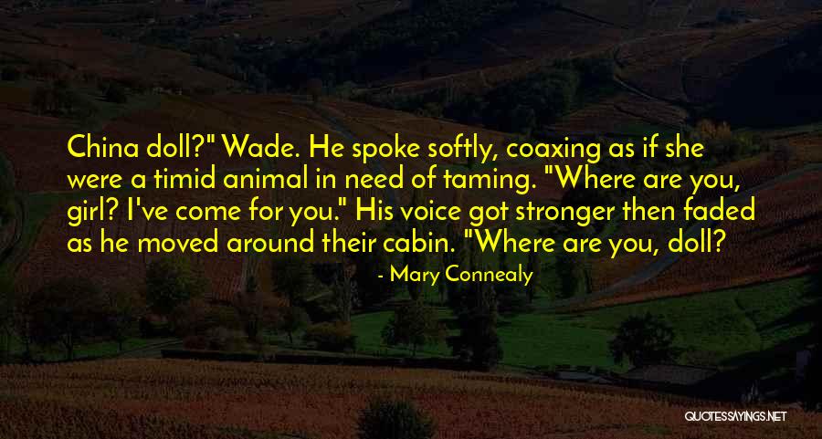 Non Material Aspects Quotes By Mary Connealy Non Material Aspects Quotes By Mary Connealy