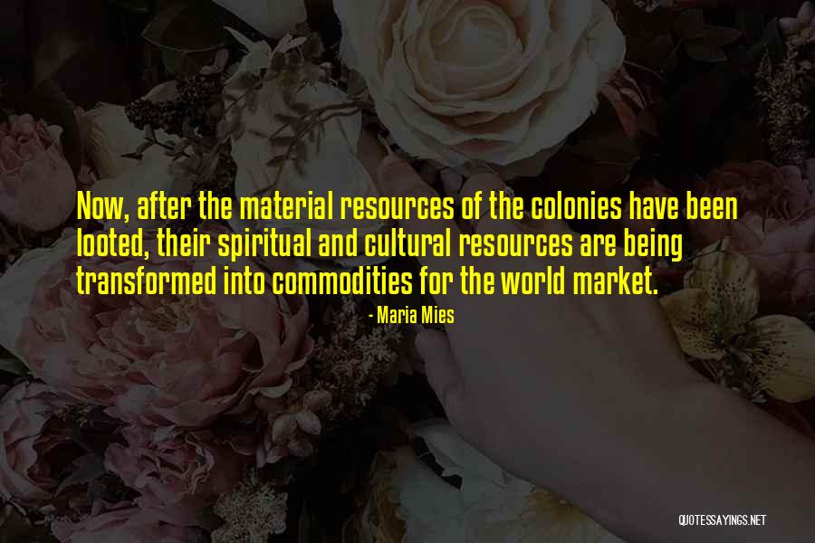Non Material Resources Quotes By Maria Mies Non Material Resources Quotes By Maria Mies