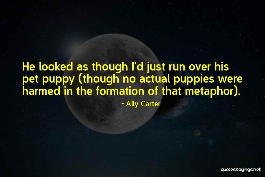 Non Participant Observational Study Quotes By Ally Carter Non Participant Observational Study Quotes By Ally Carter