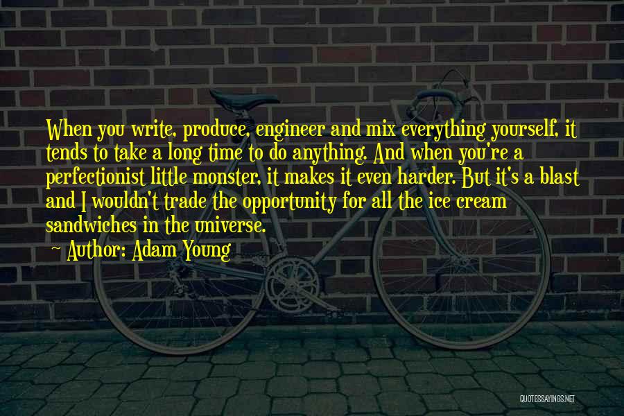 Non Perfectionist Quotes By Adam Young