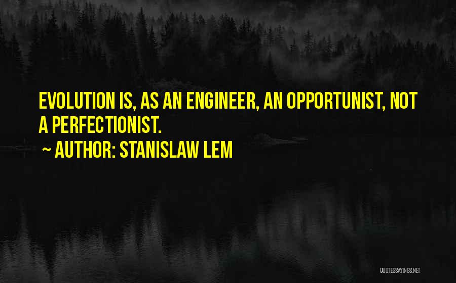 Non Perfectionist Quotes By Stanislaw Lem