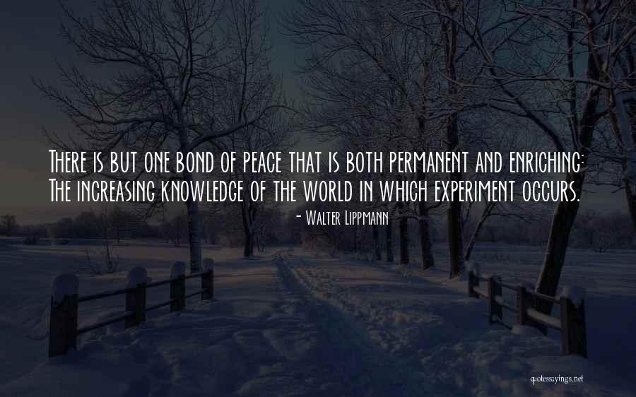 Non Permanent Quotes By Walter Lippmann Non Permanent Quotes By Walter Lippmann