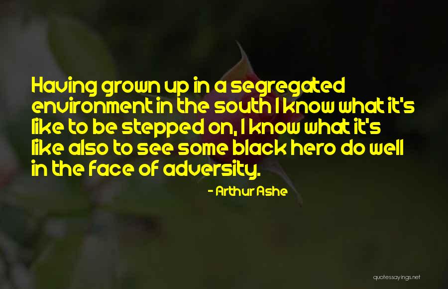 Non Physical Life Insurance Quotes By Arthur Ashe Non Physical Life Insurance Quotes By Arthur Ashe