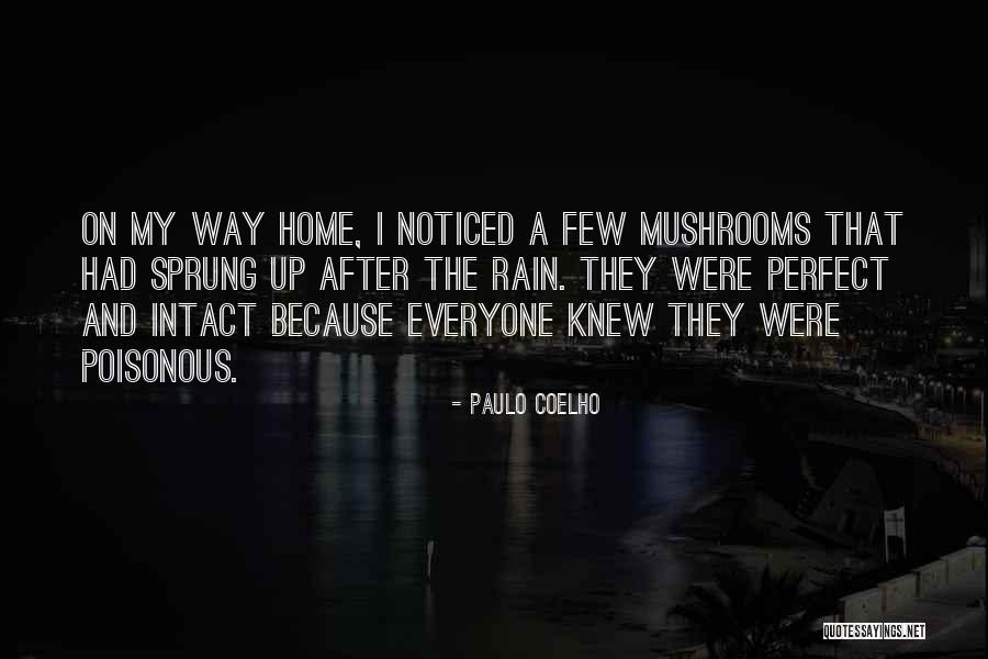 Non Poisonous Mushrooms Quotes By Paulo Coelho Non Poisonous Mushrooms Quotes By Paulo Coelho