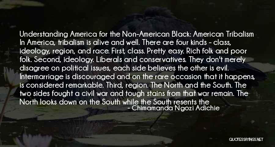 Non Political Quotes By Chimamanda Ngozi Adichie