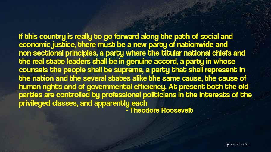 Non Political Quotes By Theodore Roosevelt